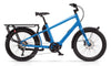 Benno Boost E - Cargo Electric Bike - Step Over 2021 - SOLD OUT